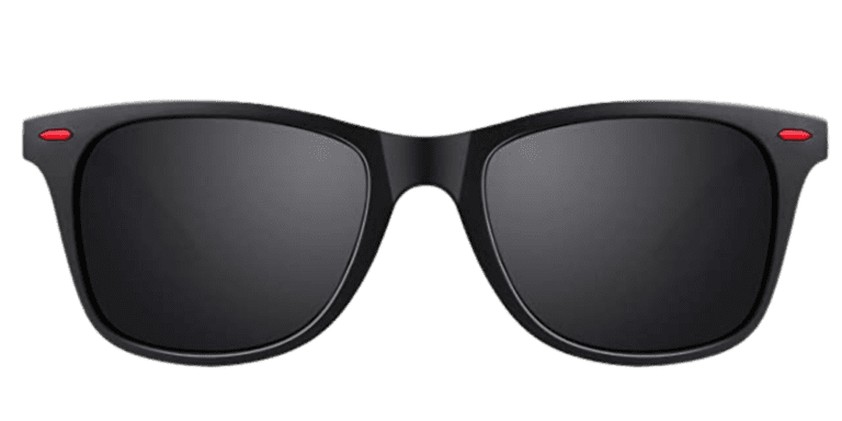 WAYFARER SUNGLASSES